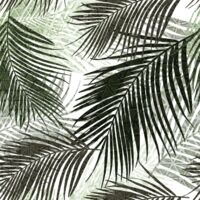 Tropical Palm Thumbnail